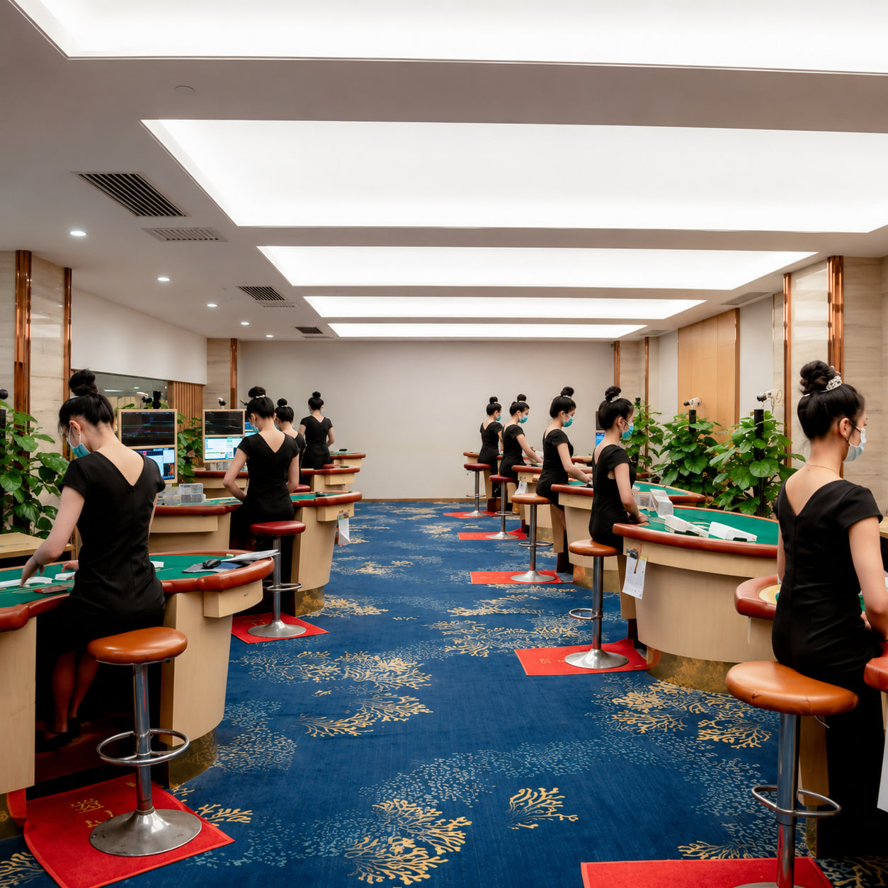 华纳公司标准化服务区域